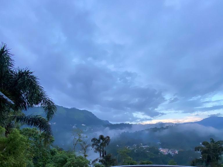 Munnar Blue Mist Acomodação com café da manhã Exterior foto